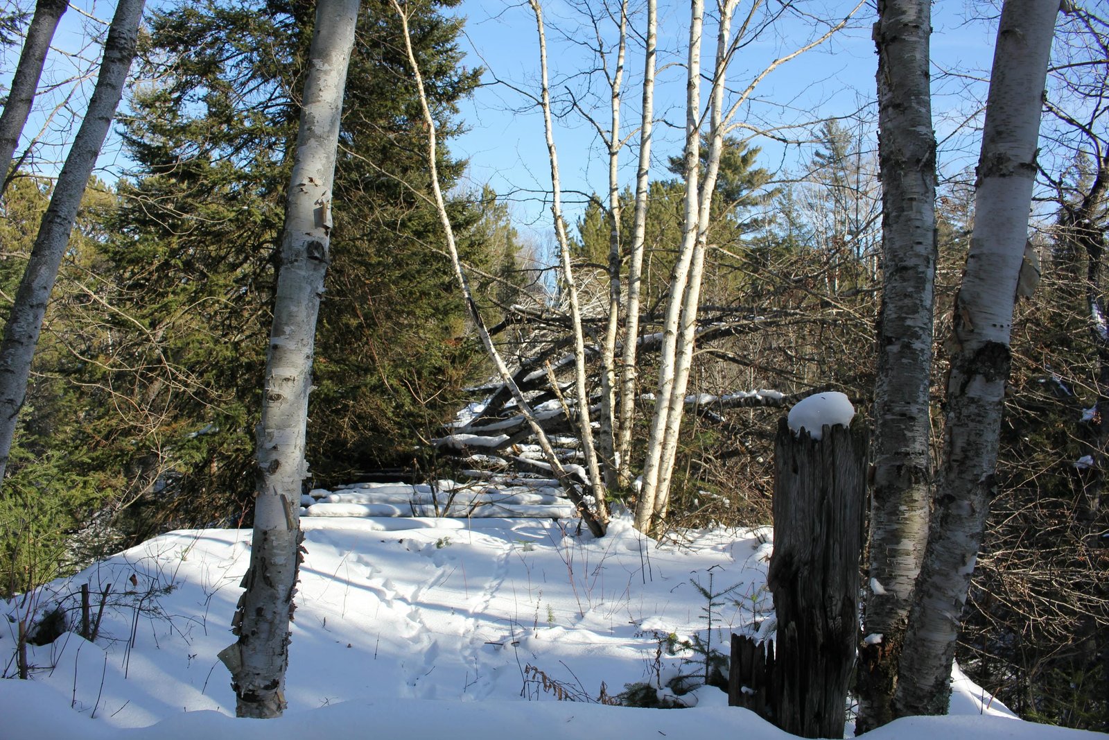 Looking north